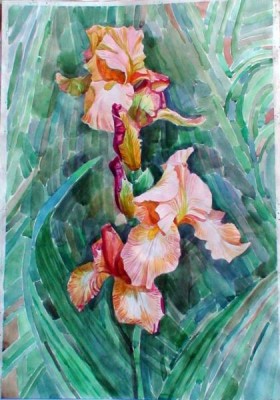 А рисунок можно показать? - DSC08216.JPG