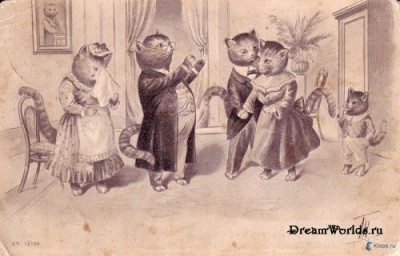 Кто там любит кошек? - 1224855518_1221951966_19.jpg