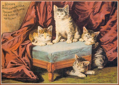 Кто там любит кошек? - 17.jpg