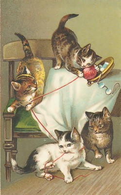 Кто там любит кошек? - 092fa5ecf0be2ef60288d565eee198fc.jpeg