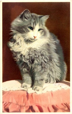 Кто там любит кошек? - 092fed380f3788d4061914777683a416.jpeg