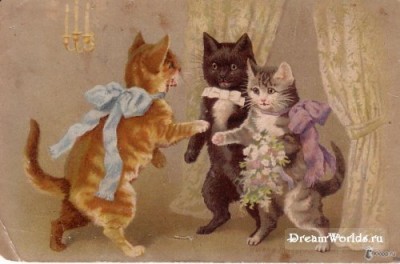 Кто там любит кошек? - 1224855389_1221951820_8.jpg