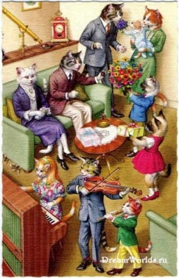 Кто там любит кошек? - 1224855419_2da15127a55c.jpg