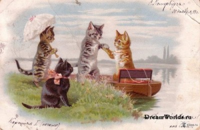 Кто там любит кошек? - 1224855451_1221951811_9.jpg