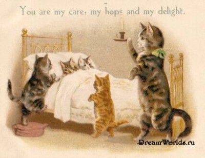 Кто там любит кошек? - 1224855501_old_cat_007.jpg