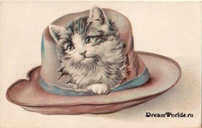 Кто там любит кошек? - 1224855513_old_cat_001.jpg