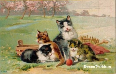 Кто там любит кошек? - 1224855554_old_cat_002.jpg