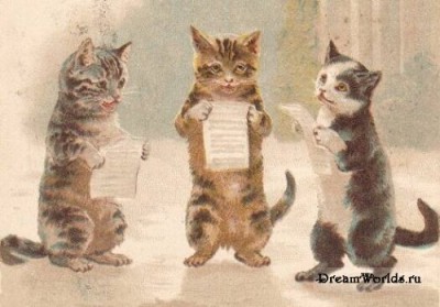 Кто там любит кошек? - 1224855556_old_cat_008.jpg