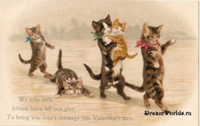 Кто там любит кошек? - 1224855563_old_cat_006.jpg