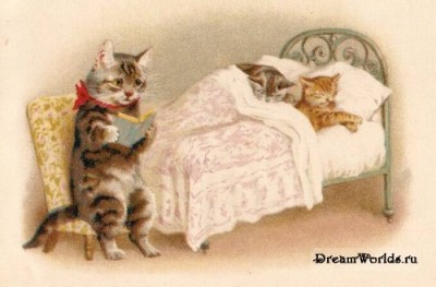 Кто там любит кошек? - 1224855564_old_cat_010.jpg