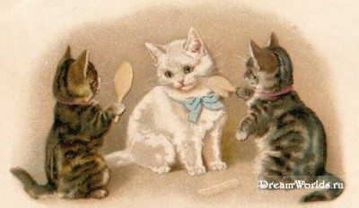 Кто там любит кошек? - 1224855639_old_cat_013.jpg