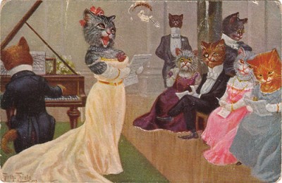 Кто там любит кошек? - 2346222144_b0bd6a54a3.jpg