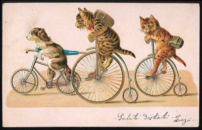 Кто там любит кошек? - 3279013612_301e7b32d1.jpg