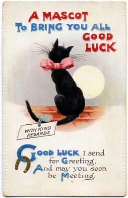 Кто там любит кошек? - 130410374_1d67142af8.jpg