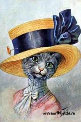 Кто там любит кошек? - 1224855442_46ee20ab0a9c.jpg