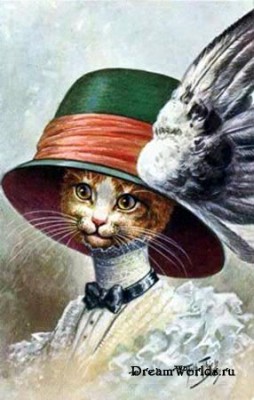 Кто там любит кошек? - 1224855540_b50cabe060a3.jpg