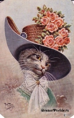 Кто там любит кошек? - 1224855556_1221952067_20.jpg