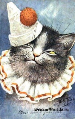 Кто там любит кошек? - 1224855563_c14ab40080ee.jpg