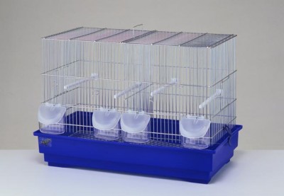 Птички - кенор.jpg