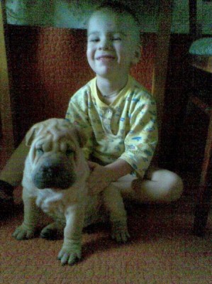 Много детей собака в условиях квартиры. Как это на деле? - Фото134.jpg