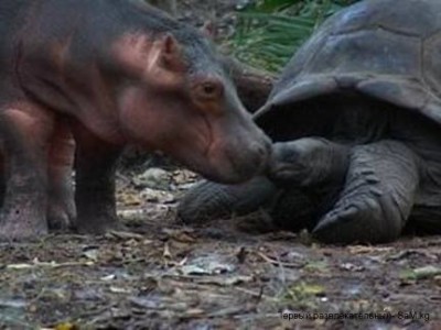 Отголоски Рая? - 2.jpg