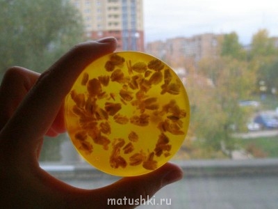 Мыловарение - PA116553.JPG