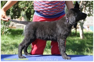 Здесь нашей красотке 2 месяца