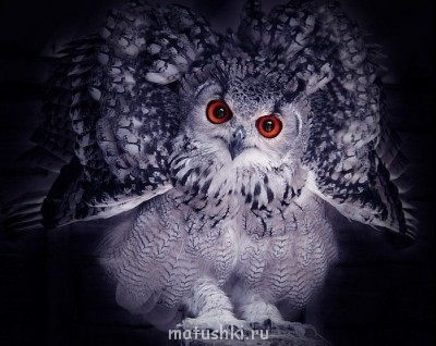 ПРО аватарки обсуждение -2 - 24883449_k.jpg