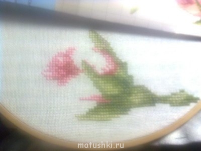 Начиналось с нуля