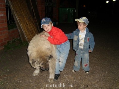 Птичий рынок  - SL271474.JPG