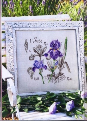 Вышивка крестиком 3  - ирис.jpg