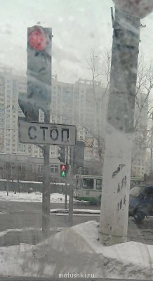 Как и почему сбивают пешеходов видео  - IMAG0590.jpg