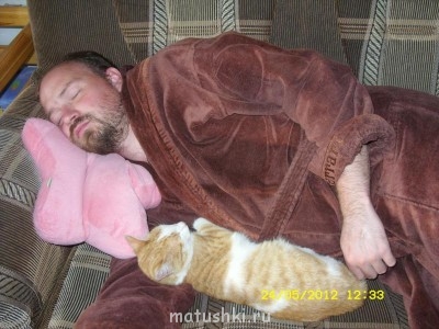 Кто там любит кошек? - SDC13614.JPG