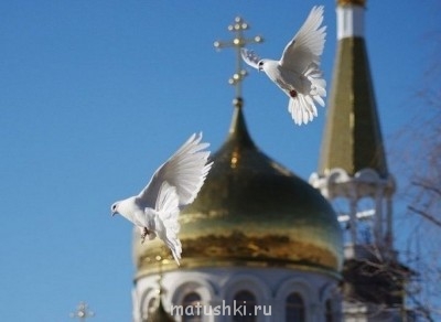 ПРО аватарки обсуждение -2 - abPvQ9O509Q.jpg