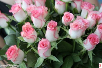 Молитвы о помощи в учении - 00023p2x.jpeg