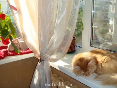 Кто там любит кошек? - DSC04366.JPG