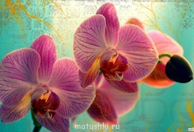 НЕматушки, чем Вам понравился форум МАТУШЕК? - 54122.jpg