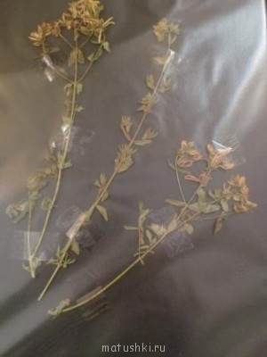 Тема для КОРОТКИХ вопросов  - CIMG7949.JPG