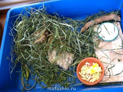 В "ГОРОДСКОЙ" КВАРТИРЕ