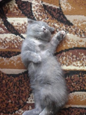 Вот так она спит иногда