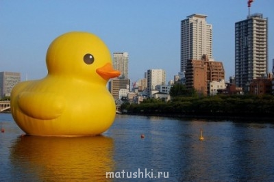 В мире интересного - 5072903b1e8a6.jpg