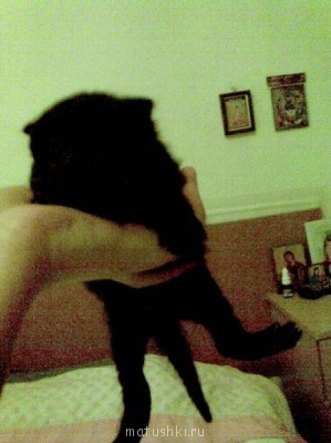 Кто там любит кошек? - Imagen007.jpg