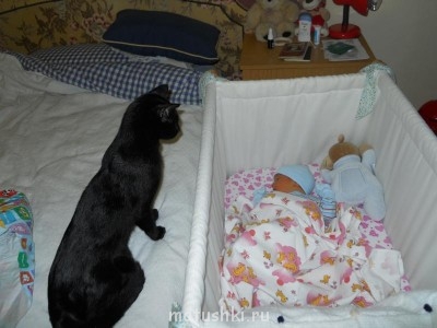 Кто там любит кошек? - DSCN1045.JPG