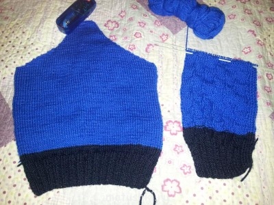 Быстрее моли - 20121108_201711.jpg