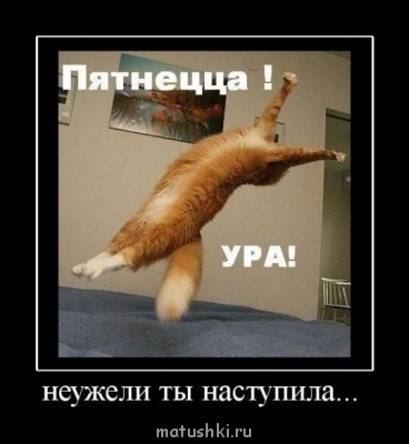 Исполнитель желаний - пятница.jpg