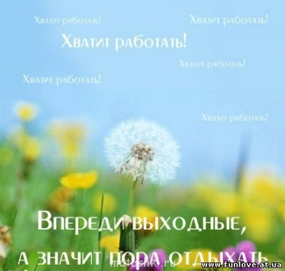 Исполнитель желаний - выходные.jpg