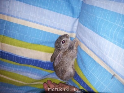 Фото малыша(малышки) прилагается!