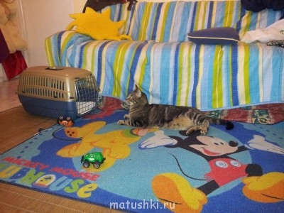 Кролики - 20130122_162705.jpg