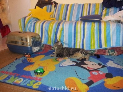 Кролики - 20130122_162710.jpg