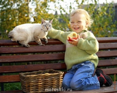 Кто там любит кошек? - кк.jpg